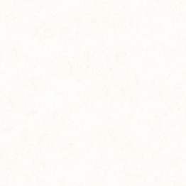 Gạch lát sàn Trường Thịnh SAND STONE TT66151